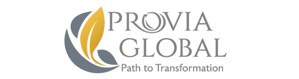 Provia Global — Path to Transformation